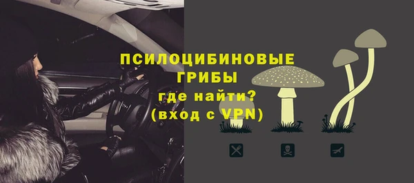 прущий лед Арсеньев
