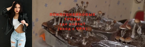 jwh Чегем