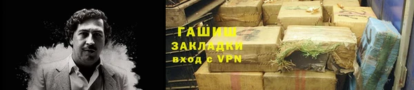 прущие грибы Алзамай