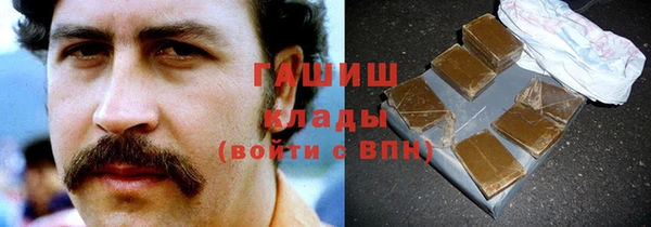 прущие грибы Алзамай