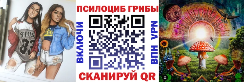 даркнет сайт  Артём  Псилоцибиновые грибы мицелий 